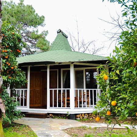 Arcadia Hotel Çıralı Zewnętrze zdjęcie