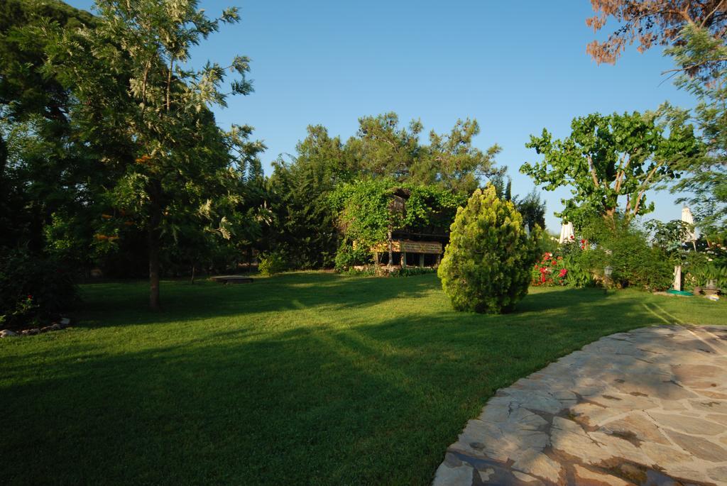 Arcadia Hotel Çıralı Zewnętrze zdjęcie